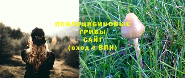 2c-b Алзамай
