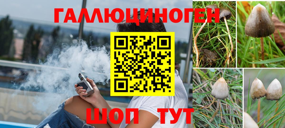 Псилоцибиновые грибы мухоморы Саянск