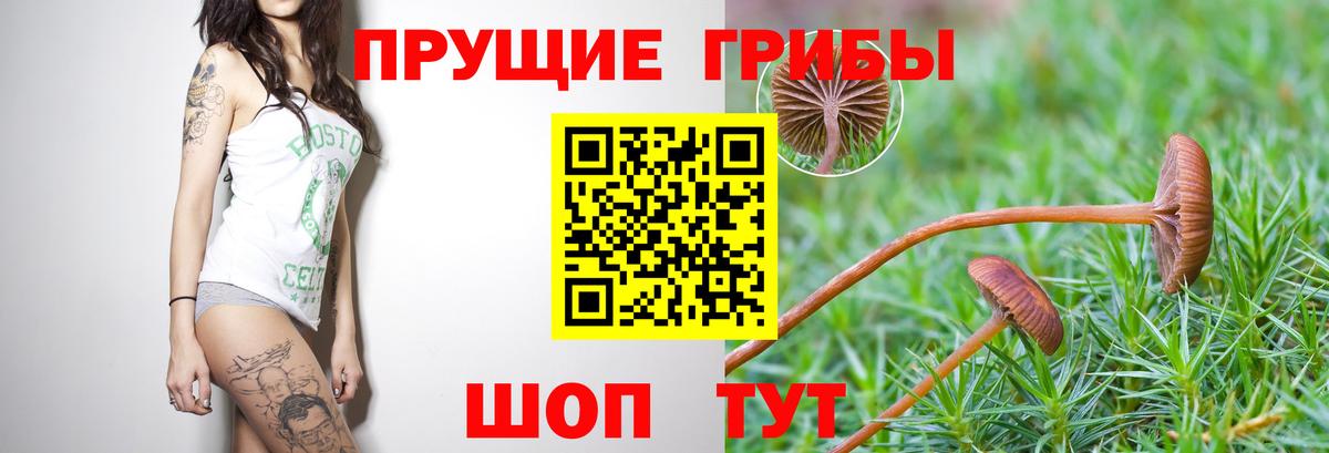 Галлюциногенные грибы ЛСД  Вход с VPN  Саянск 